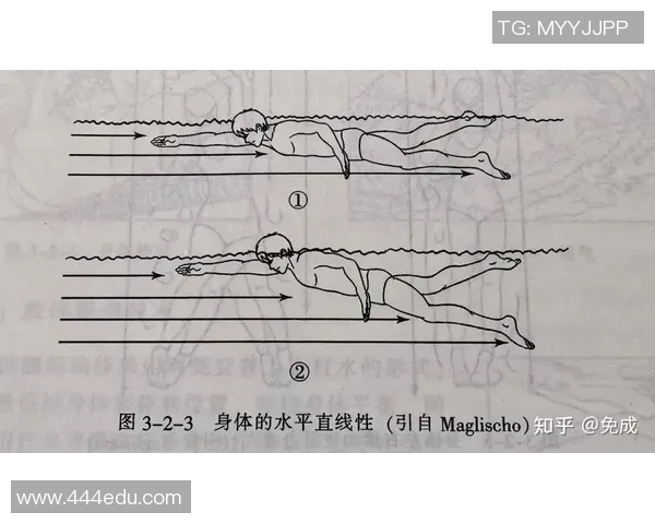自由泳初学者入门指南 从基础技巧到提高速度的全面解析